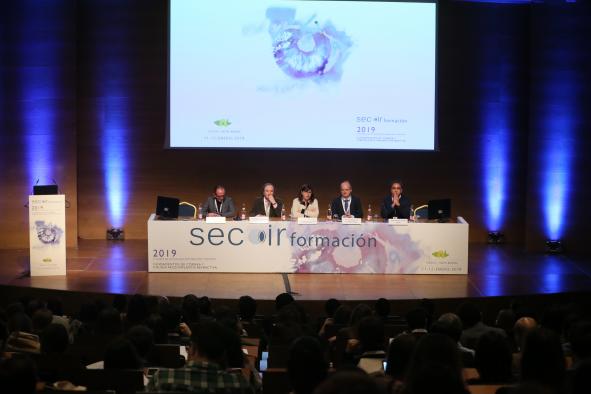 curso sociedad espannola cirugia ocular
