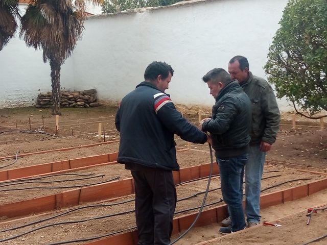 huerto urbano d