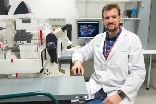 medicina regenerativa