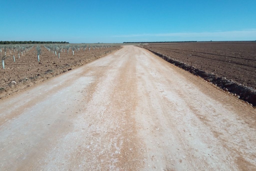 caminoreal1