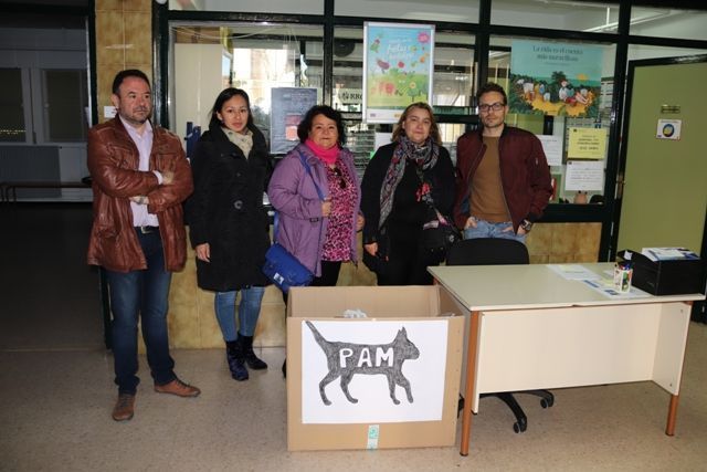 campaña ayuda gatos c