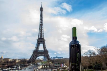 domanchaenparis