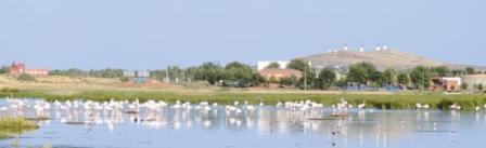 lagunas