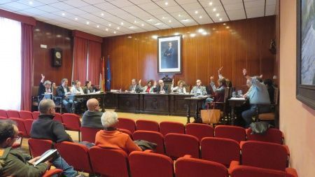 pleno manza2019