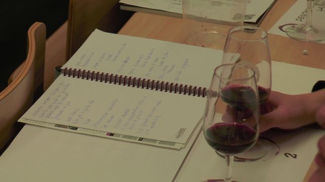 vino complutense