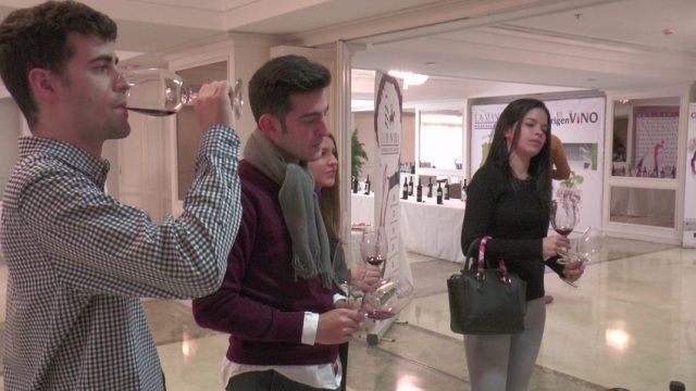 vinos mancha excelente madrid b