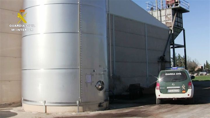 Foto archivo aceituna