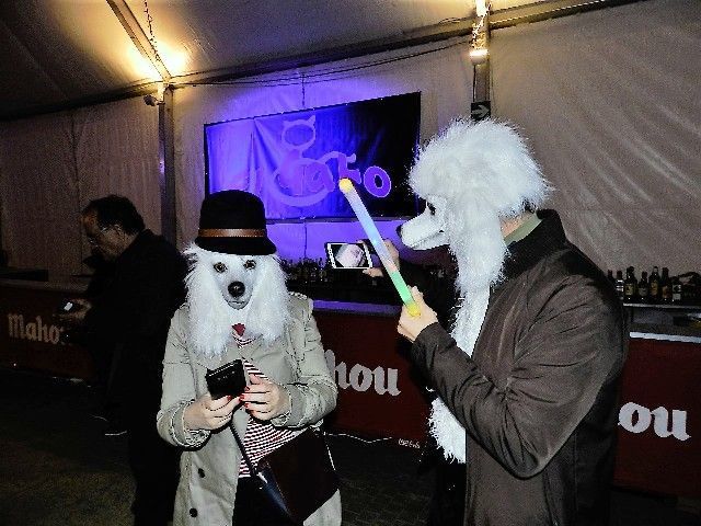 carnaval2019 13