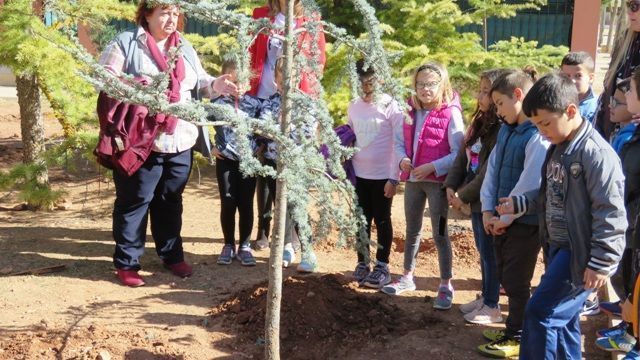 dia forestal 2019