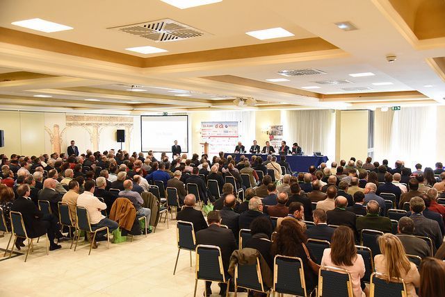 dica 2019 d