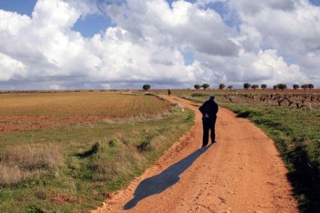 hombreporelcampo