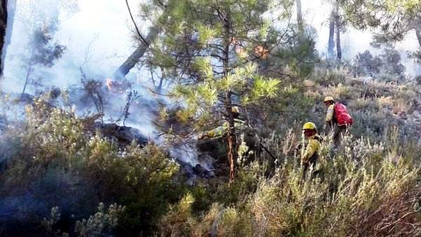incendio paterna de madera