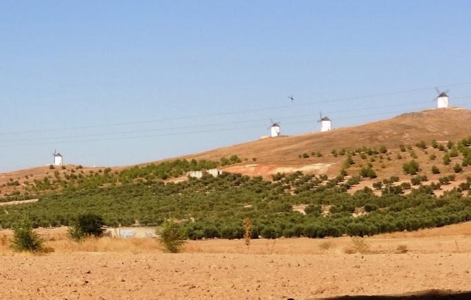 molinos herencia