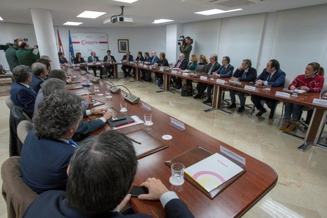 pleno camara comercio a