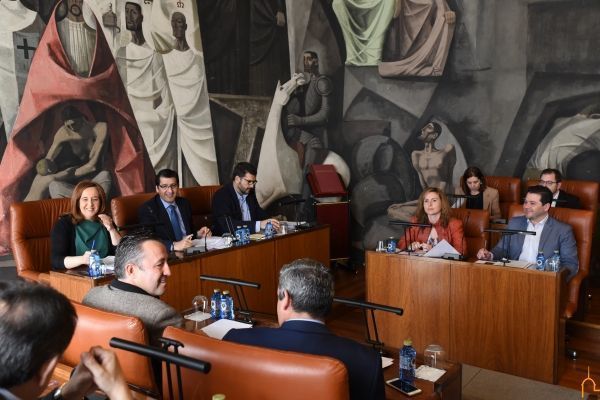 pleno diputacion marzo