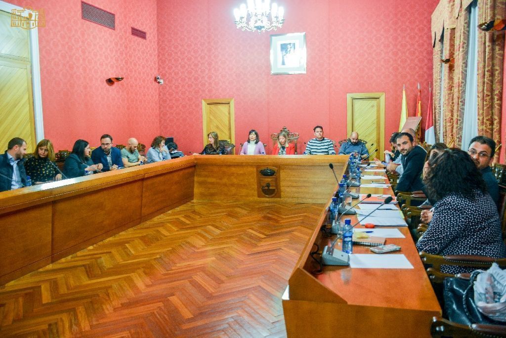 pleno marzo 2019
