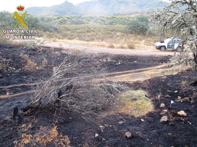 incendio seprona