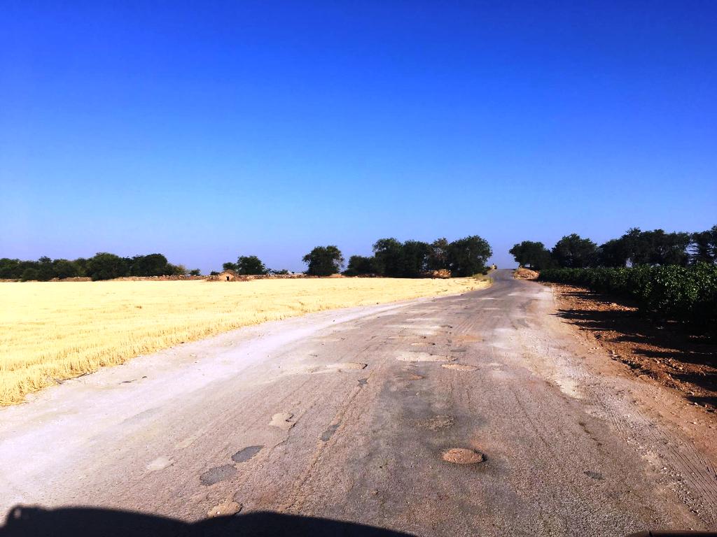 20190725 CAMINO CIRUJANO 3
