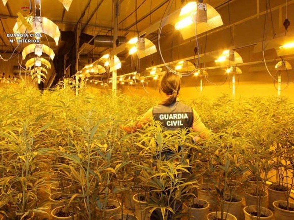 incautacion marihuana b