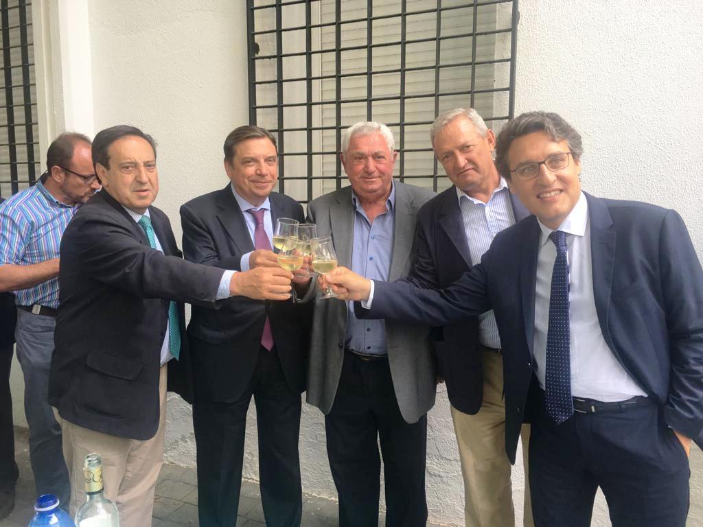 Brindis final