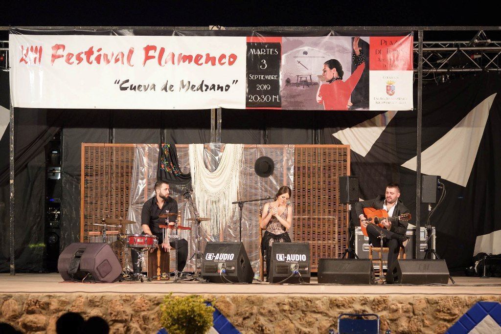 festival flamenco argamasilla d