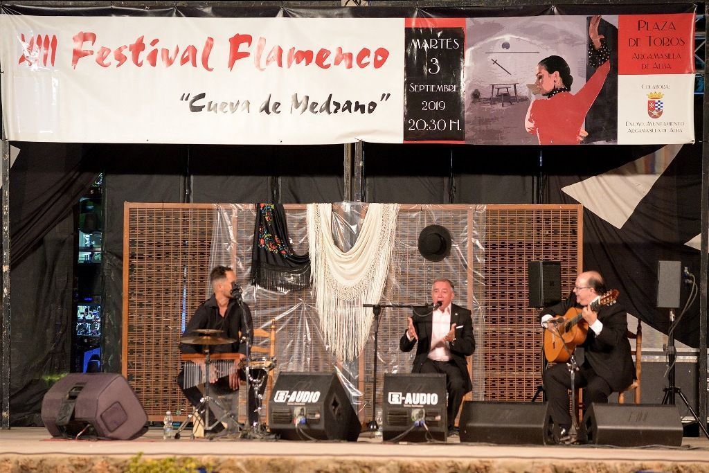 festival flamenco argamasilla e