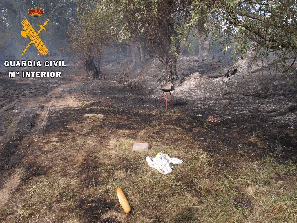 incendiocalalberche b