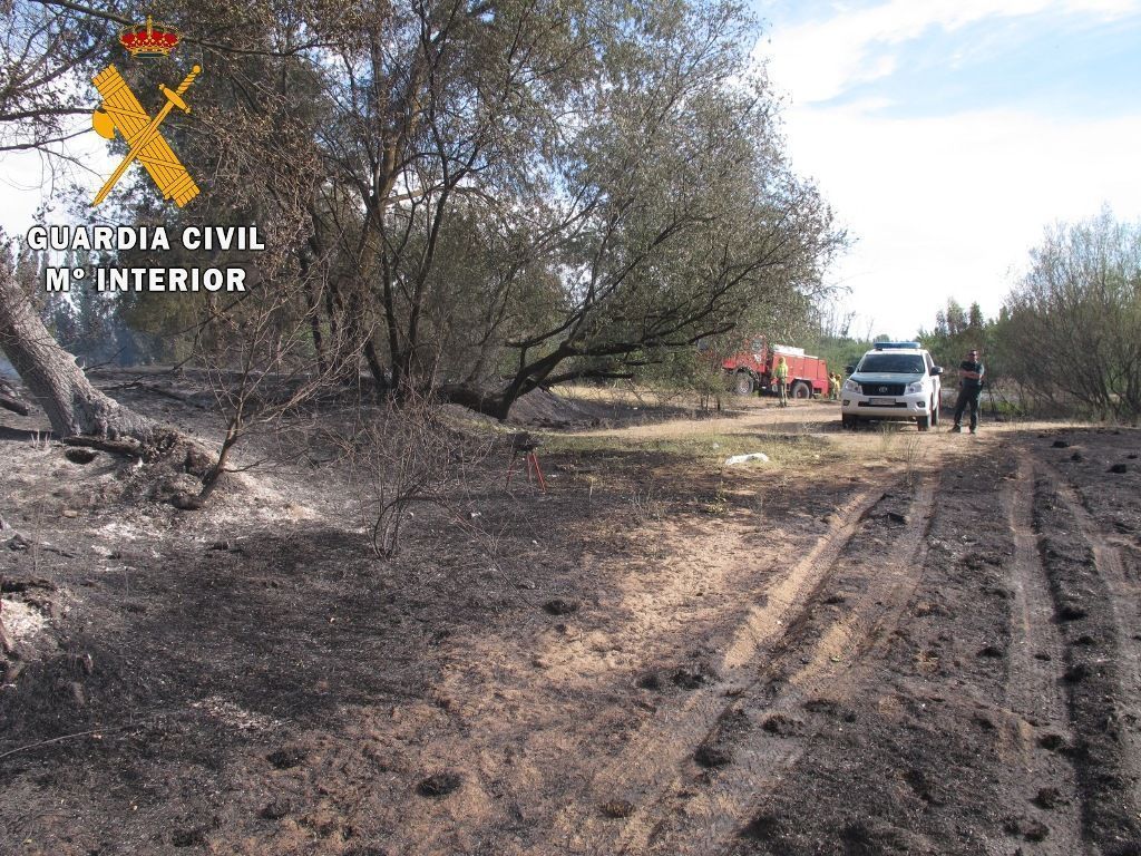 incendiocalalberche c