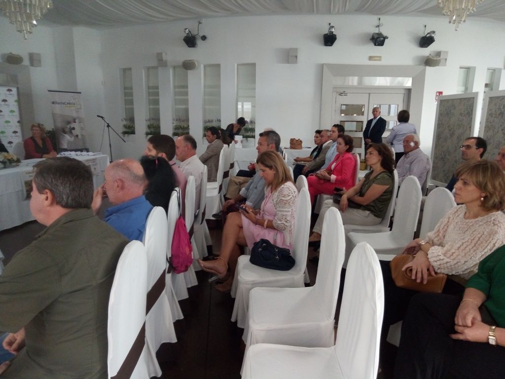 proyectos crea c