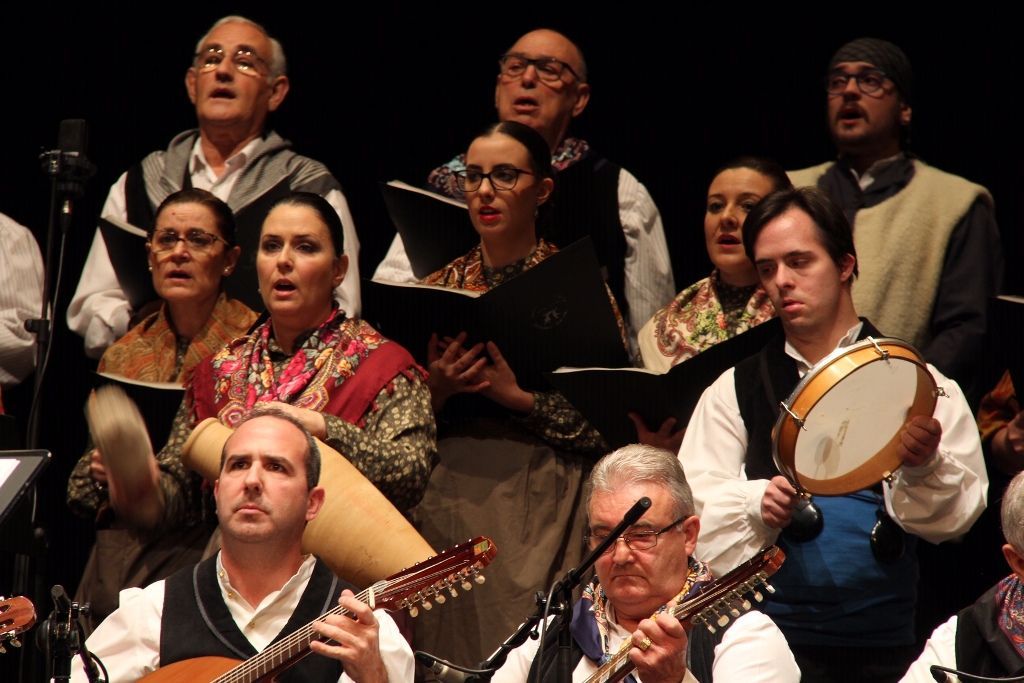 Concierto Cruz Roja Alcázar de San Juan 4