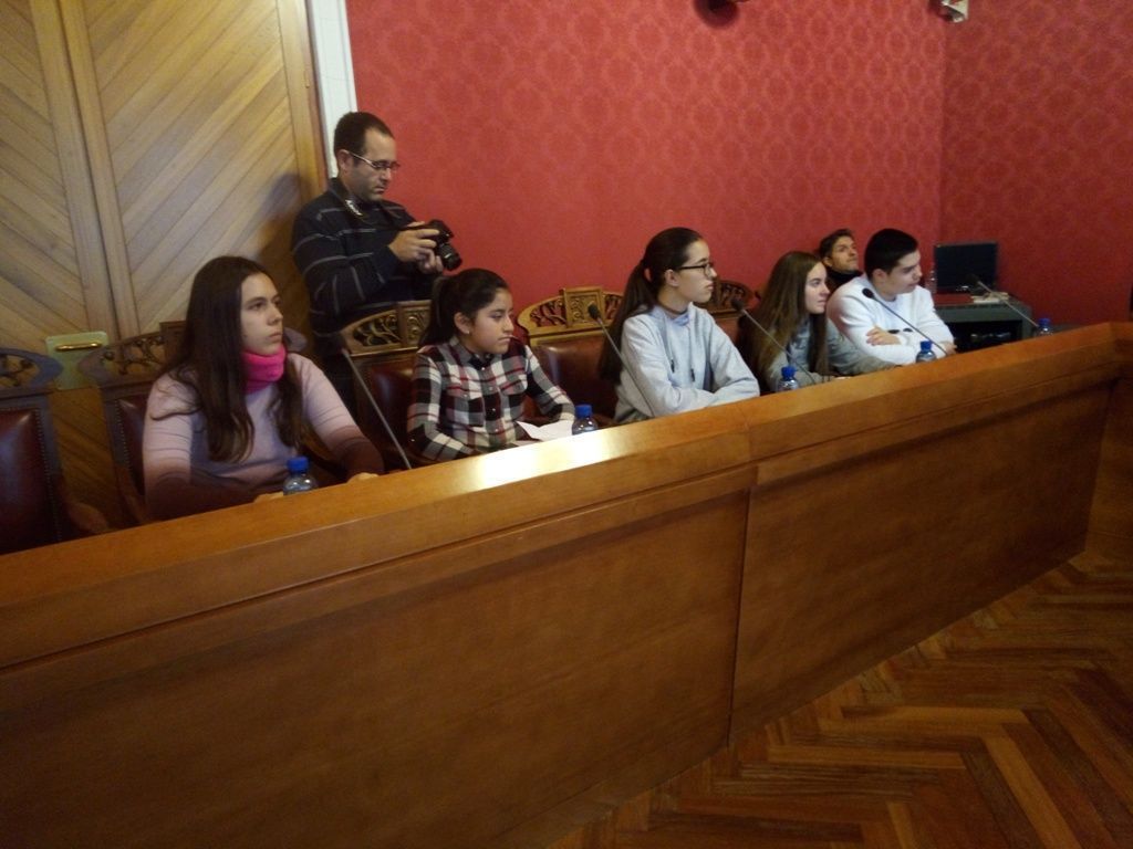 pleno constitucion tomelloso e