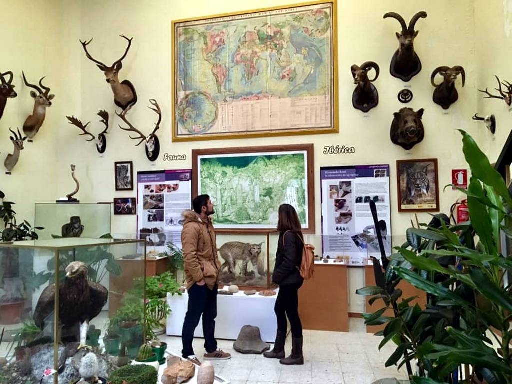 FITUR VISO Museo AVAN