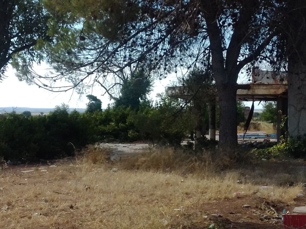 incendio caraba 9