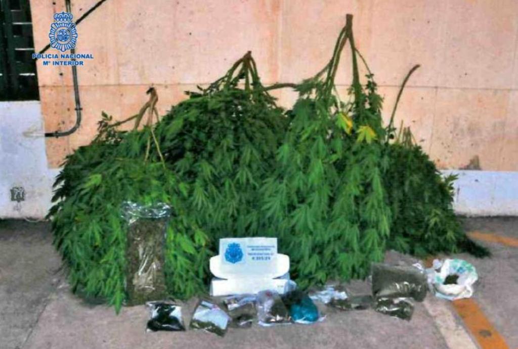 MARIHUANA CIUDAD REAL 2