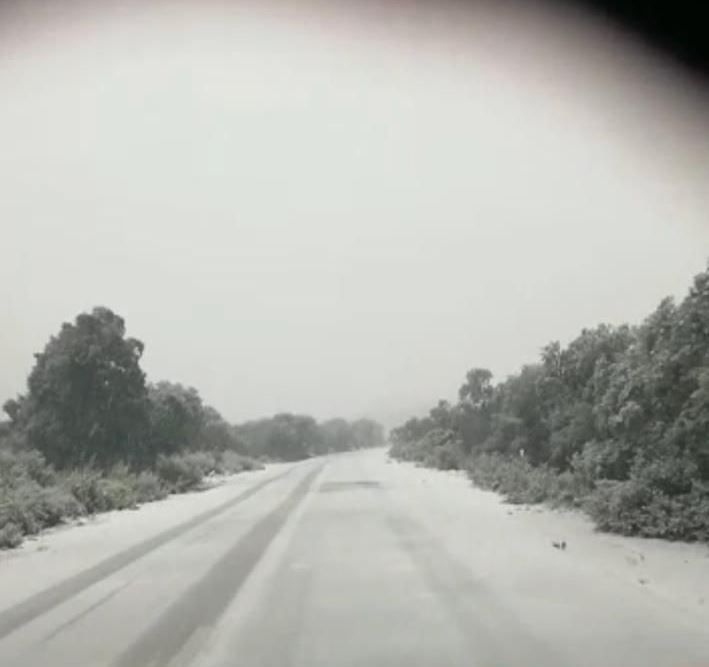 nieve