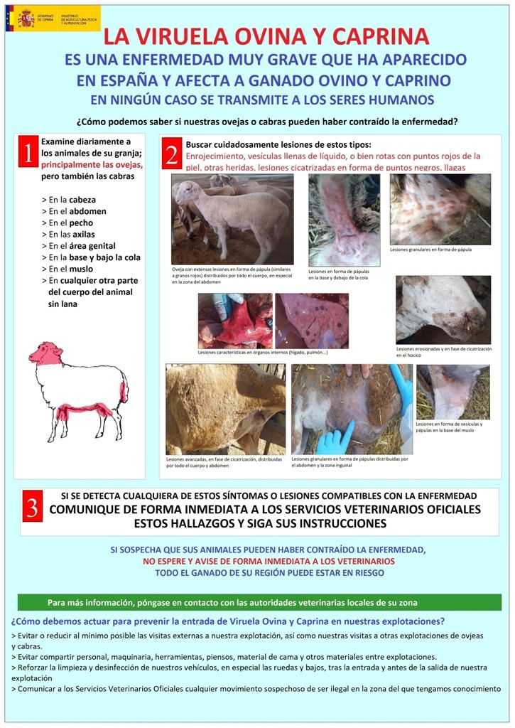 folletoinformativosobrevoc tcm30 631729