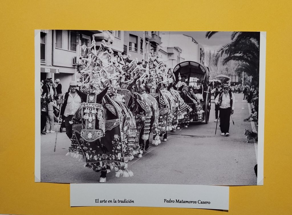 expo romeria 4