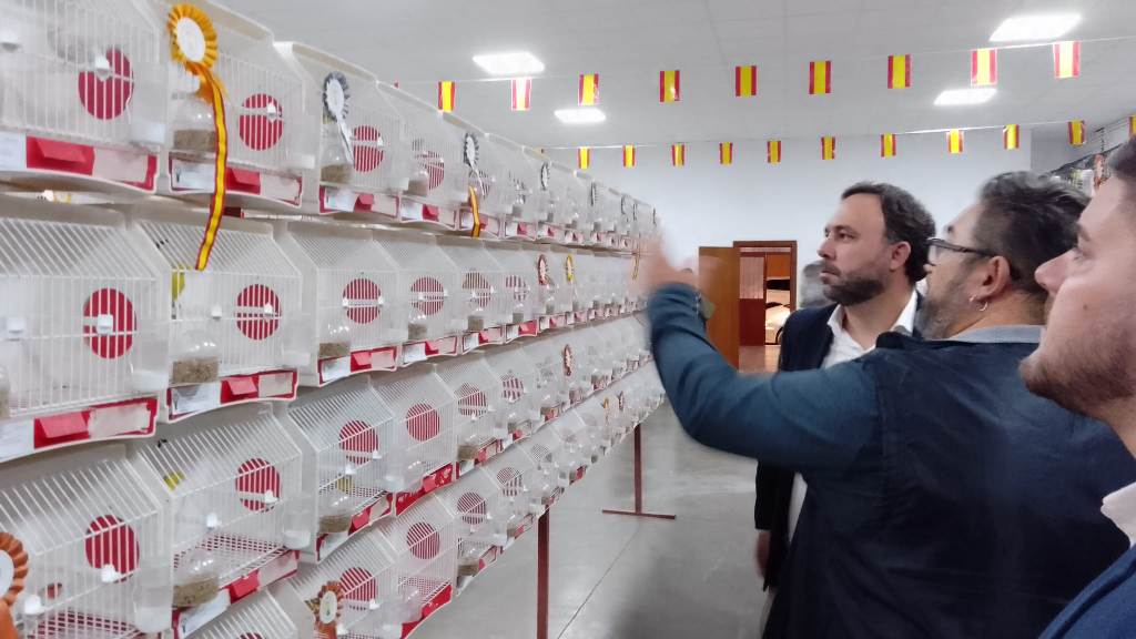 expo canarios 4