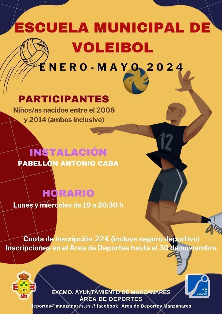 Escuela municipal de voleibol