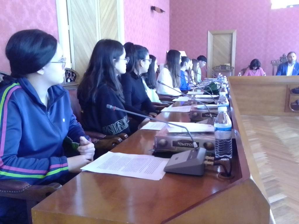 Pleno Escolar Constitucion 3
