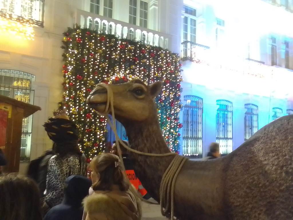 alumbrado navideño 6