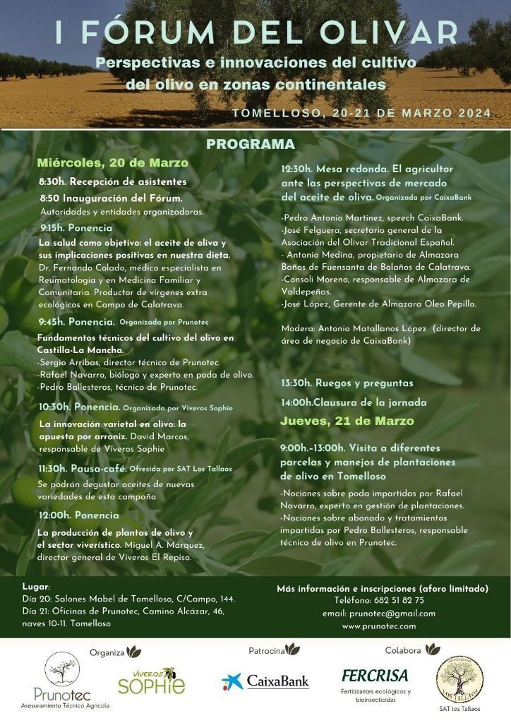 CARTEL FORUM OLIVAR TOMELLOSO