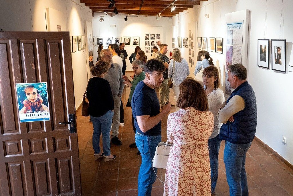 expo galgo blanco 2