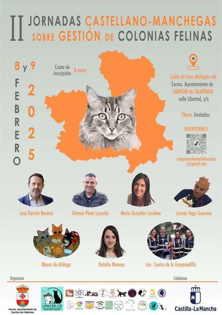Programa 1