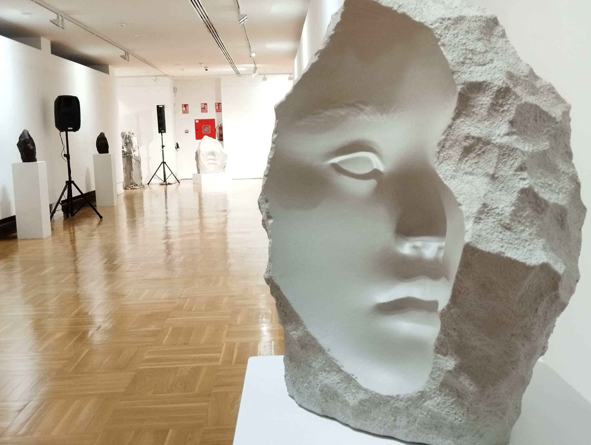 EXPO MONGE 2
