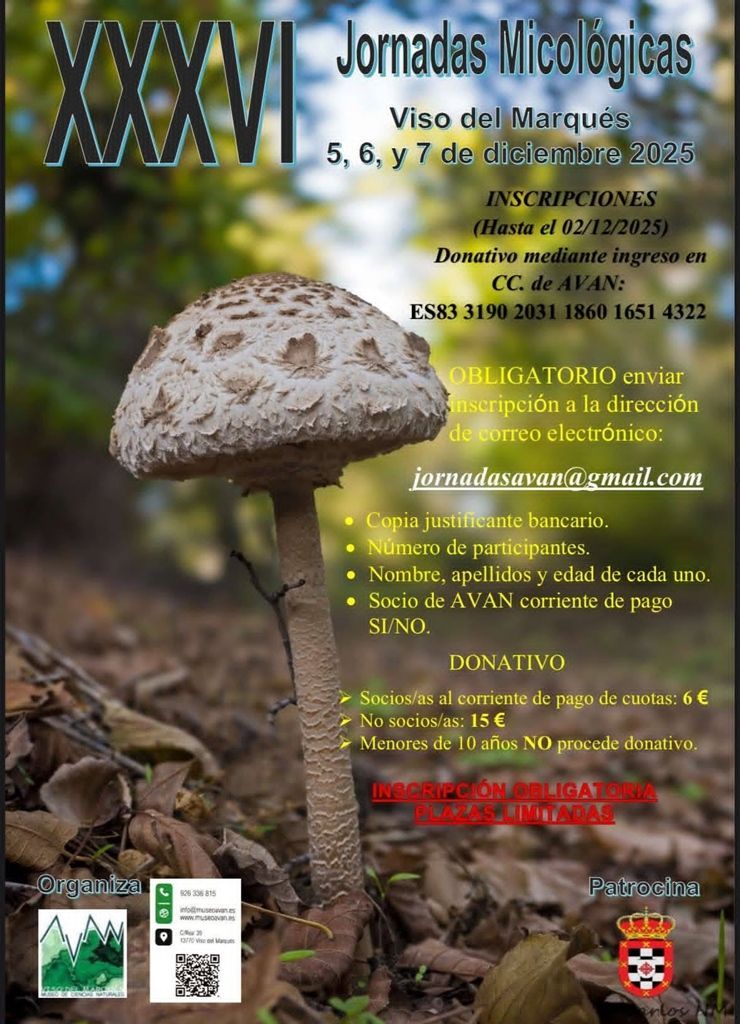 viso del marques 1