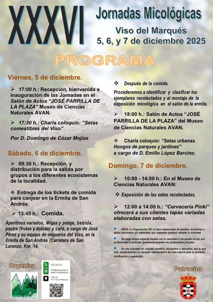 viso setas 2