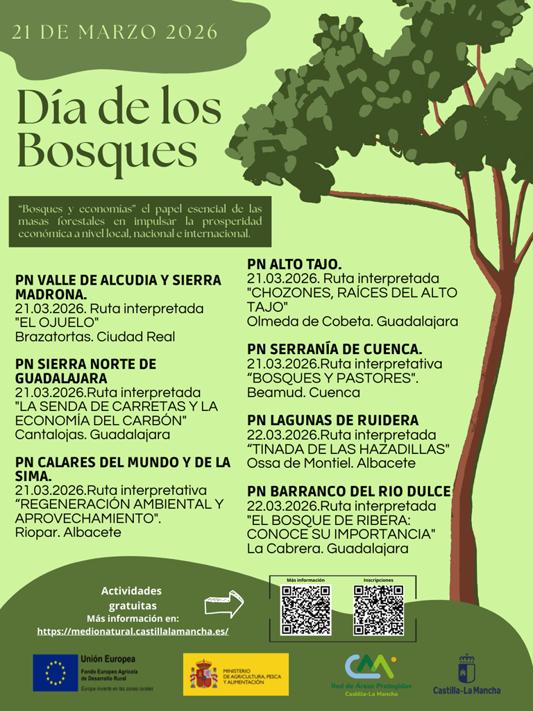 Día de los Bosques